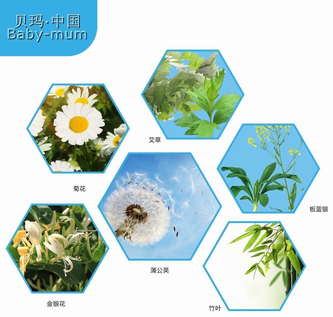 鍙嬪痉鐢诲唽锛?锛?1.jpg